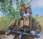 Аватара пользователя