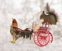 Аватара пользователя
