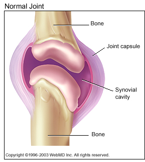 http://velosamara.ru/images/article/knees/NormalJoint.jpg