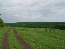 Едем в гору