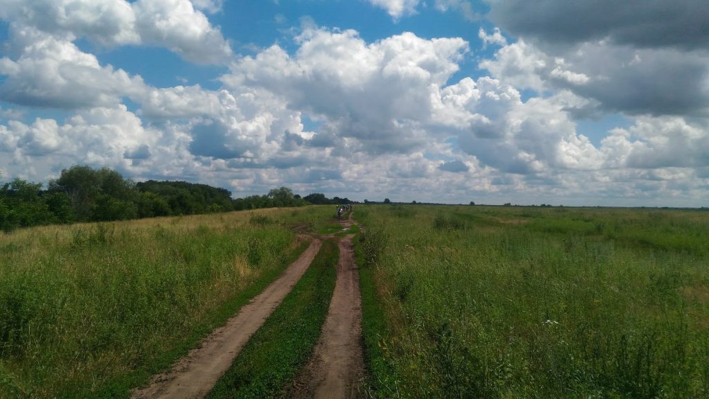 На грунтах